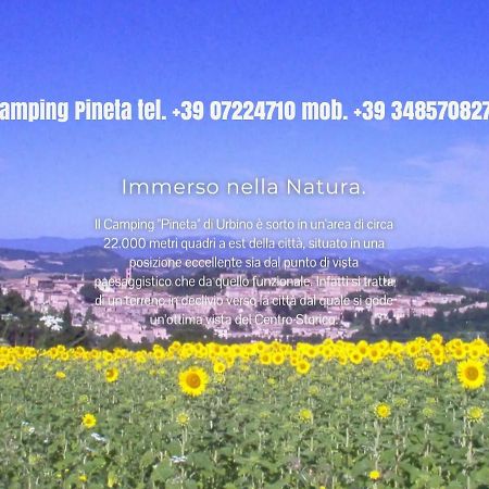 Camping Pineta Hotel Urbino Exterior photo
